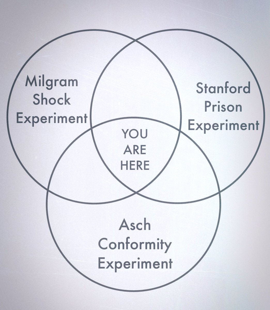 Truthstream Media tweet media