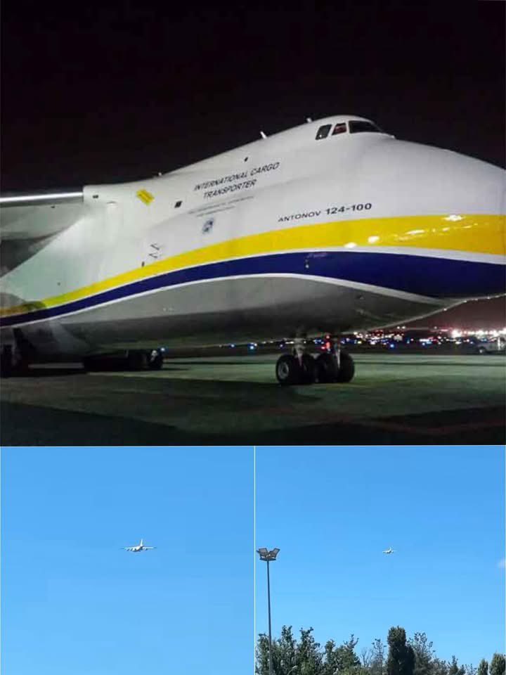 アルファG tweet media