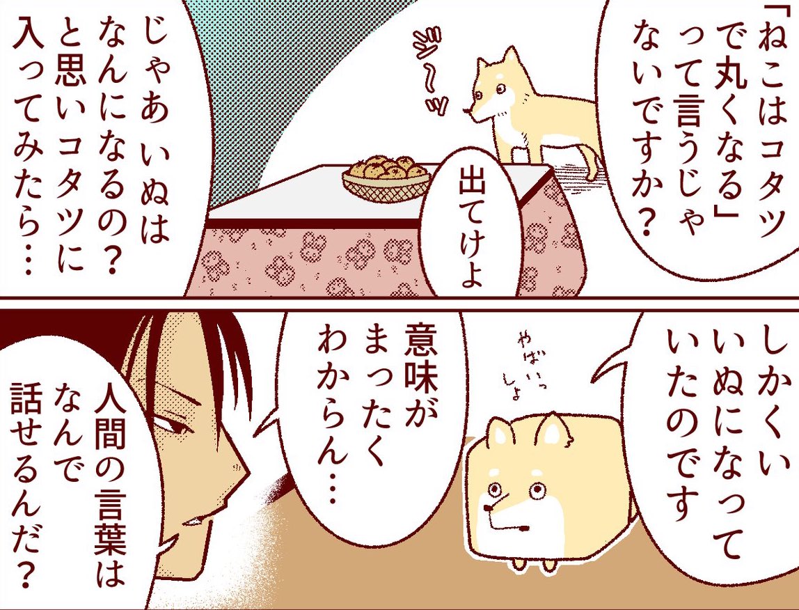 しかくい犬がしかくくなった理由を語るくだりめちゃ好き。
マジで意味が分からん。 