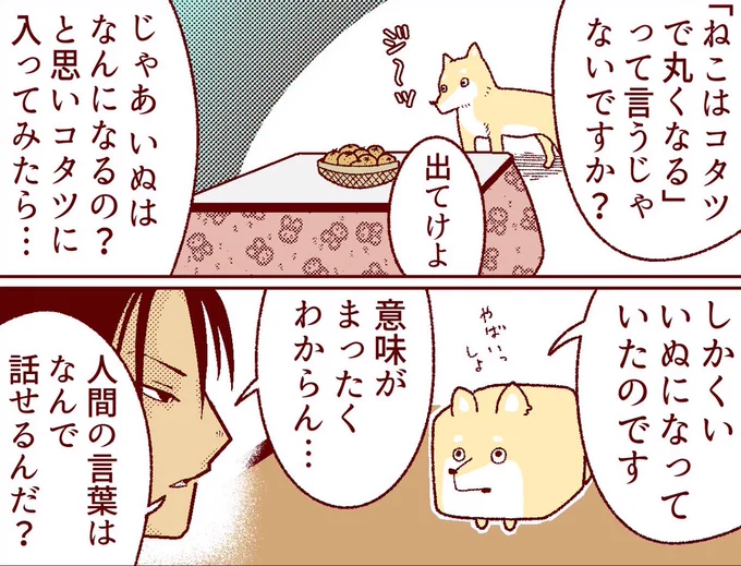 しかくい犬がしかくくなった理由を語るくだりめちゃ好き。
マジで意味が分からん。 
