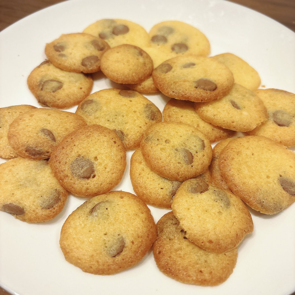 𝘾𝙝𝙖𝙘𝙤 @ 予定なし tweet media