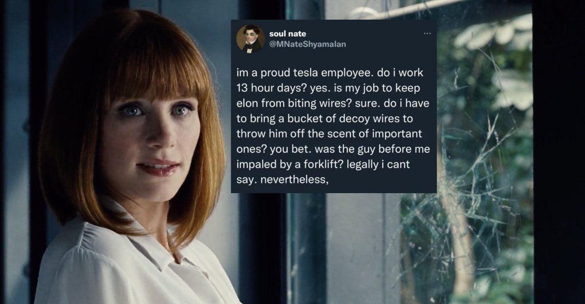 faiyaz 🔻🦕 tweet media