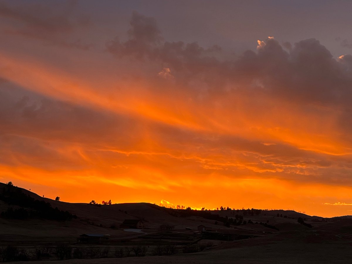 Jen Mendyka tweet media