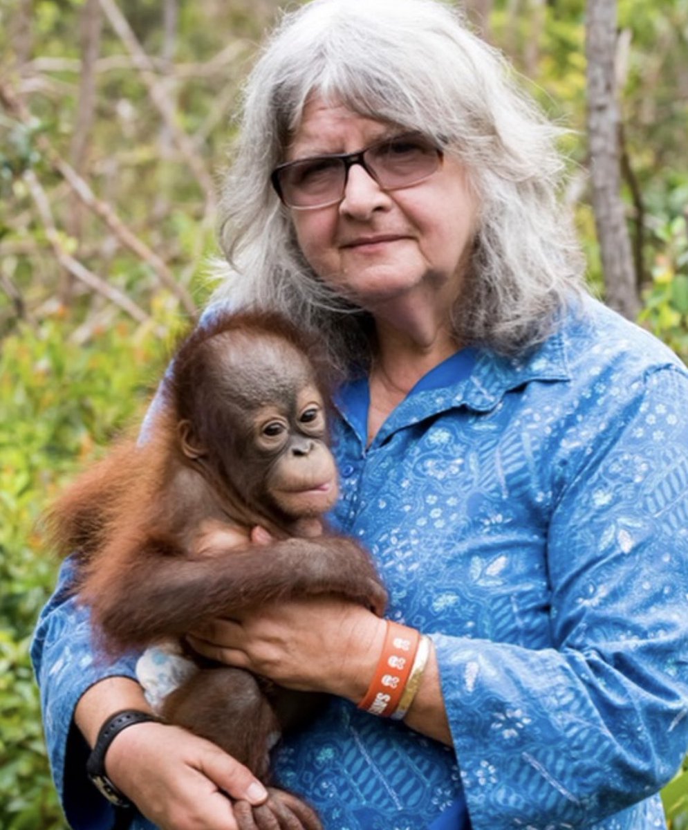 insidefolkative's tweet photo. Birute Galdikas, pejuang konservasi Orangutan meninggal dunia. https://t.co/McDALvYCc1