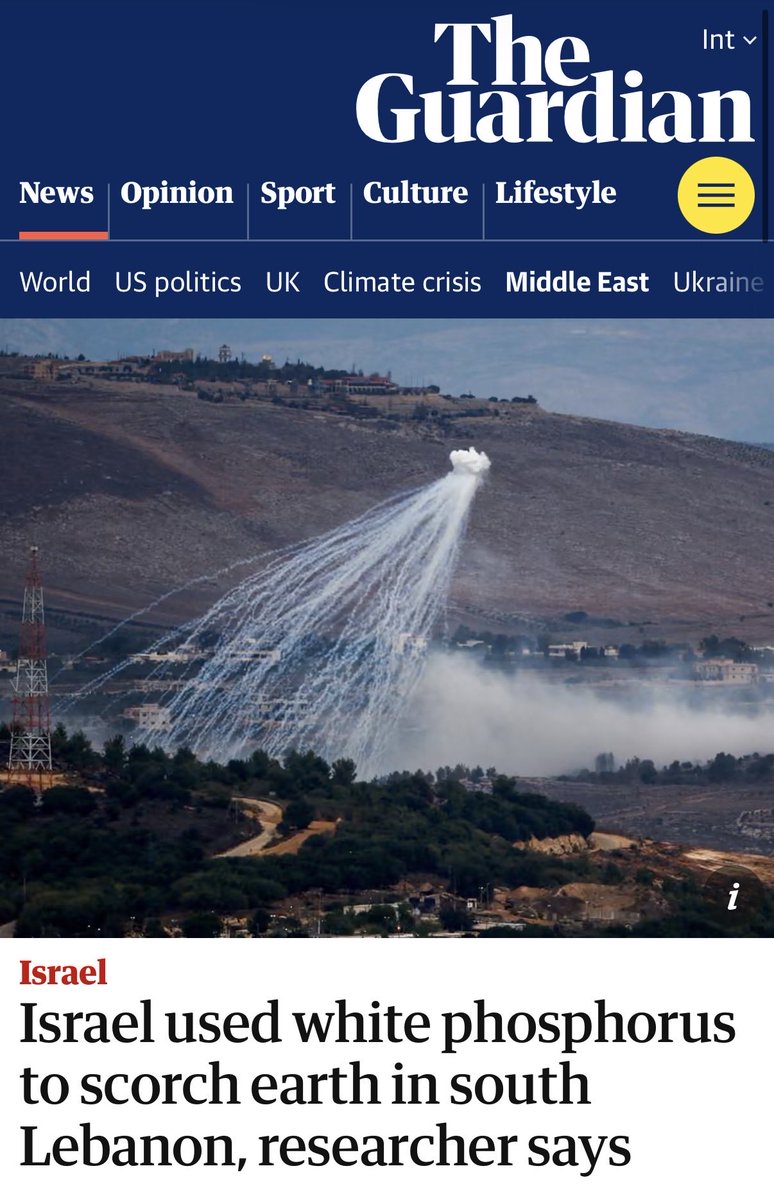 Samira Mohyeddin سمیرا tweet media