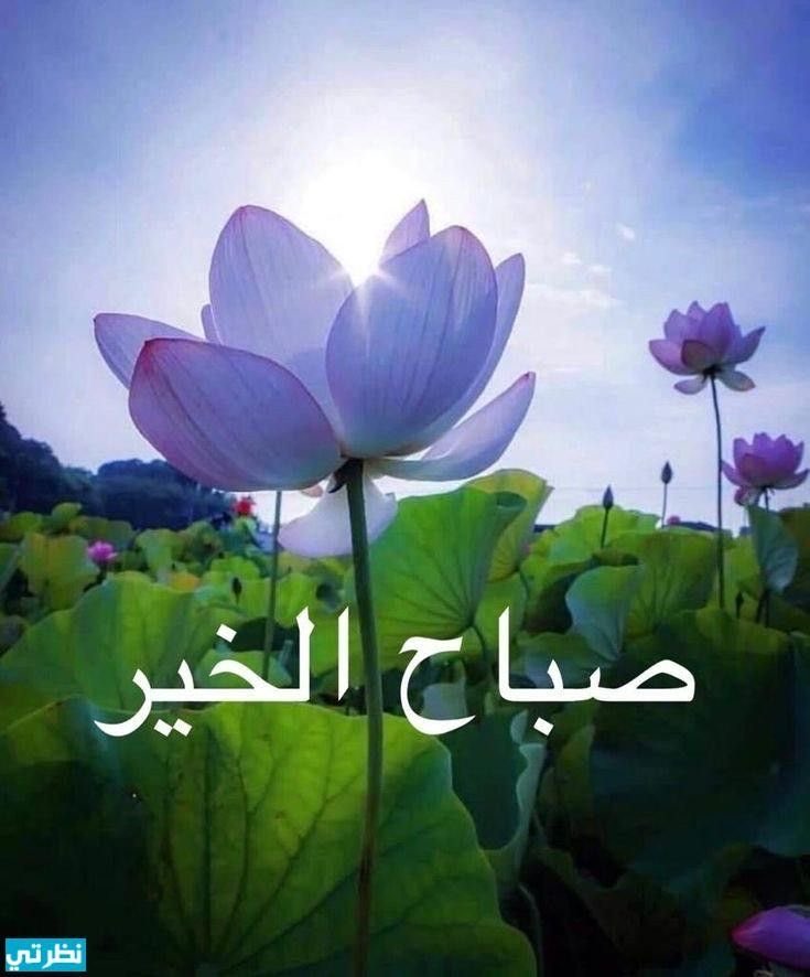 مُـــنى 💎 tweet media