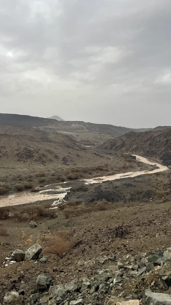 أبو عماد المعبًدي tweet media