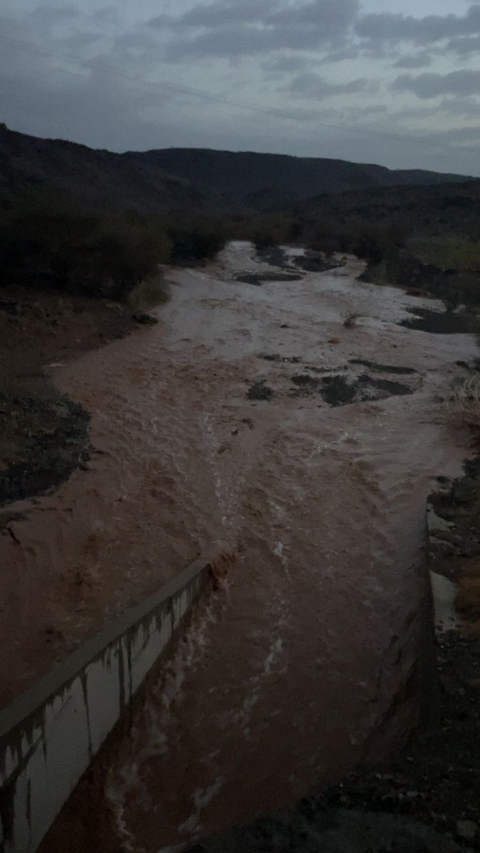 أبو عماد المعبًدي tweet media