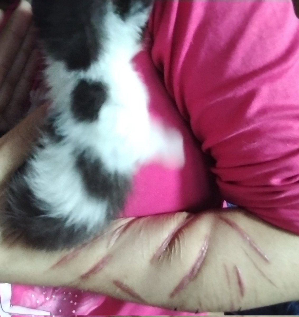 sแดแดแดษชแด
โก tweet media