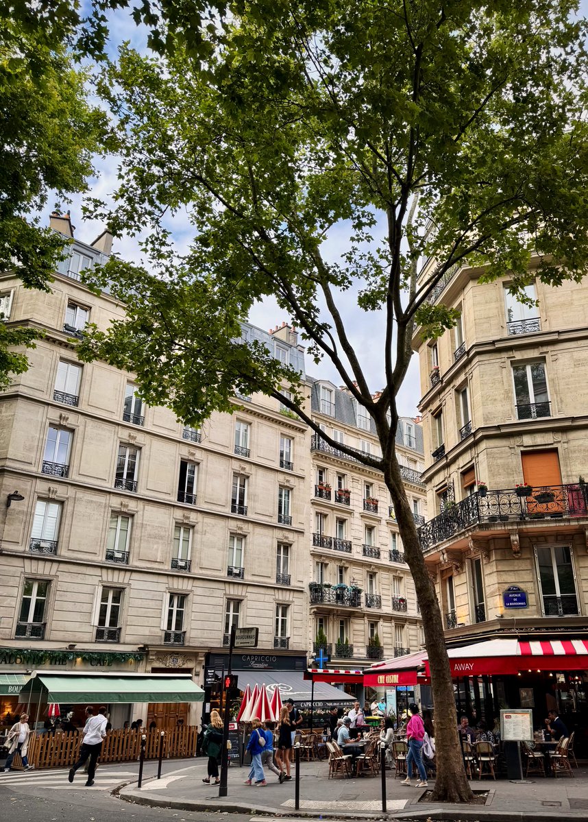 Glimpses of Culture 🏛️ tweet media