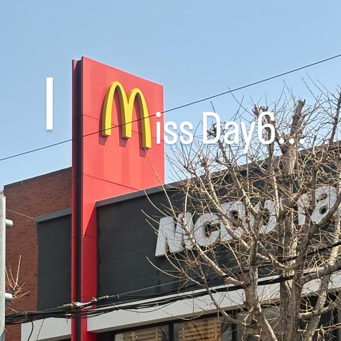 데장핑 tweet media