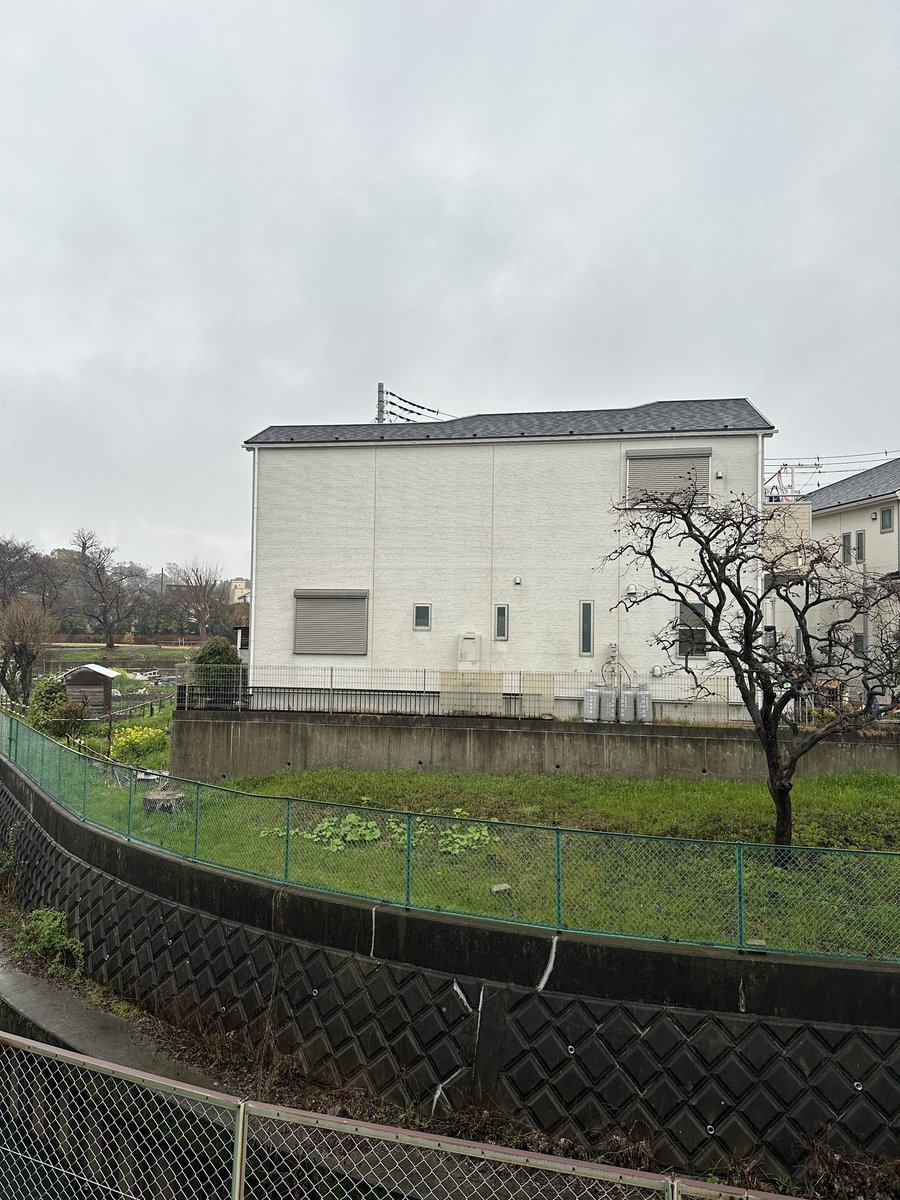 くまごろう tweet media