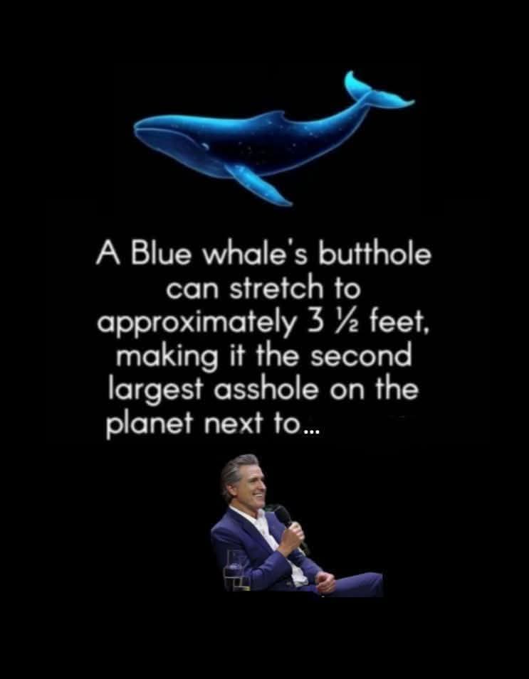 Joyce Anne tweet media