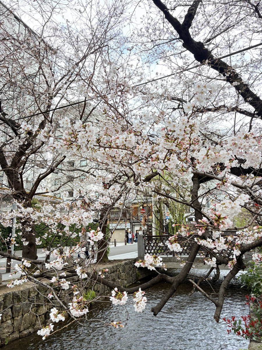 山口純平 tweet media