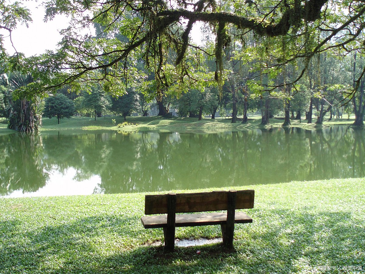 flavio guastamacchia tweet media