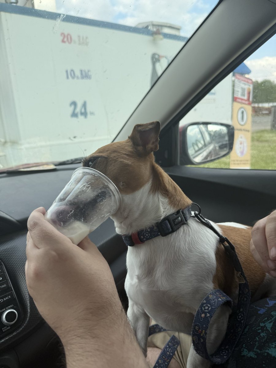 Ray Patterson tweet media