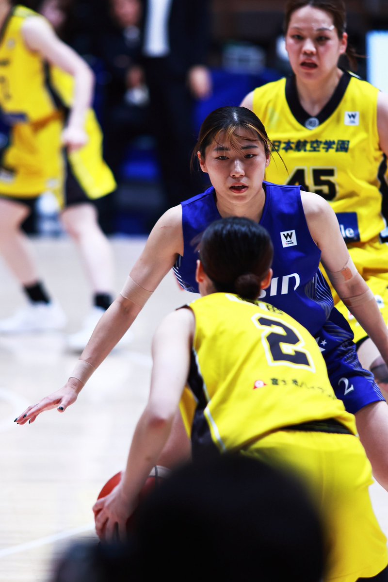 一匹猫 📸 tweet media