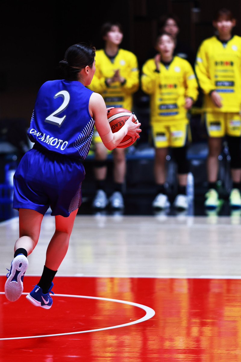 一匹猫 📸 tweet media