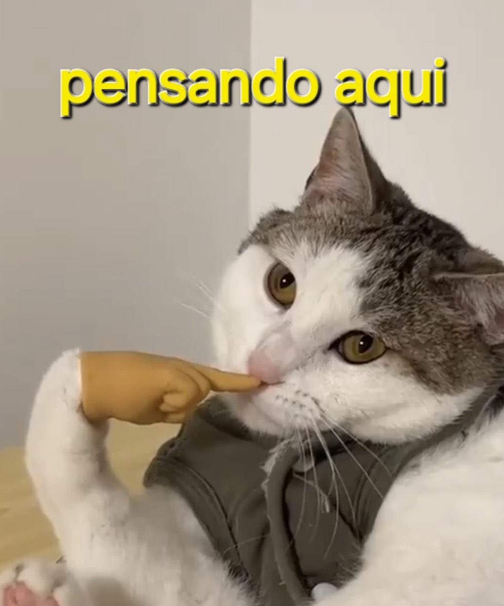 us🧙🏻‍♀️🍍🐈‍⬛🐉💋🥞 tweet media