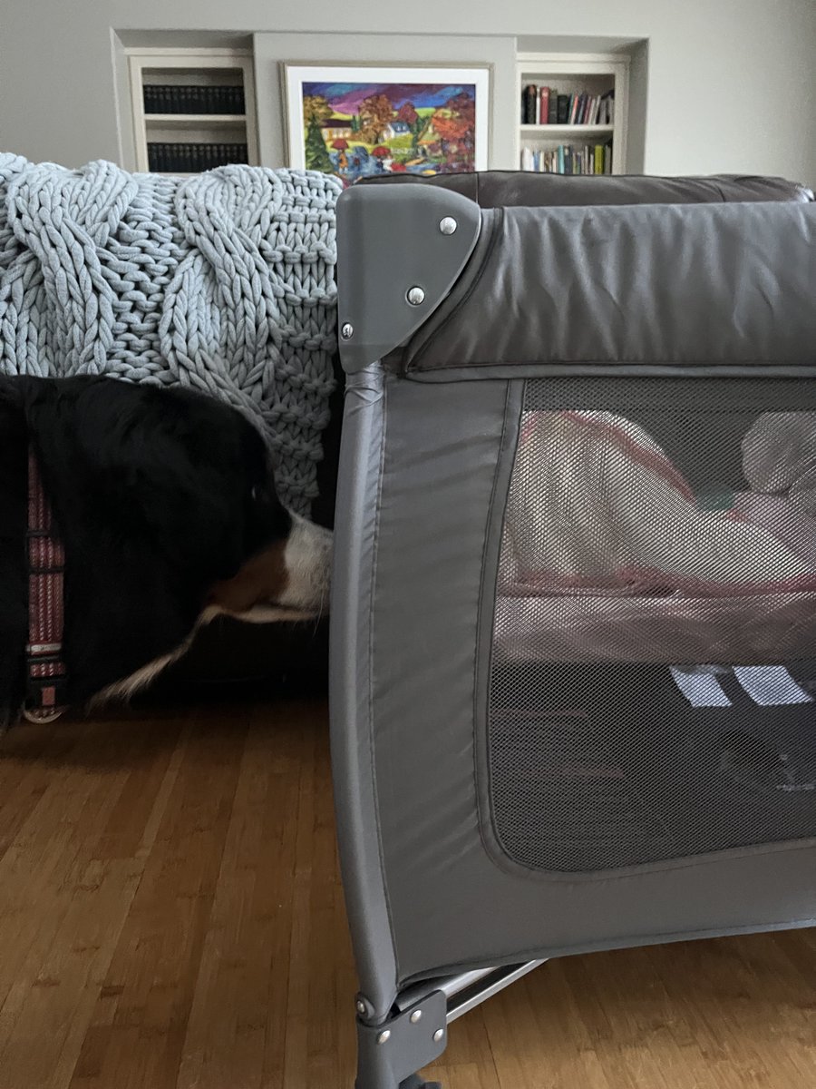 Denene Little tweet media