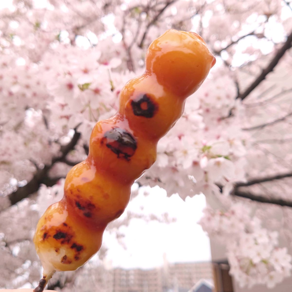 石村萬盛堂 tweet media