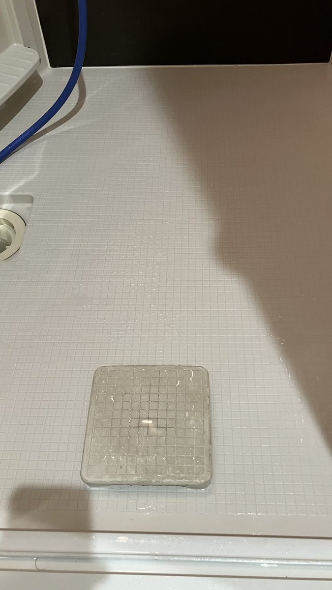 やー的feat.猫 tweet media