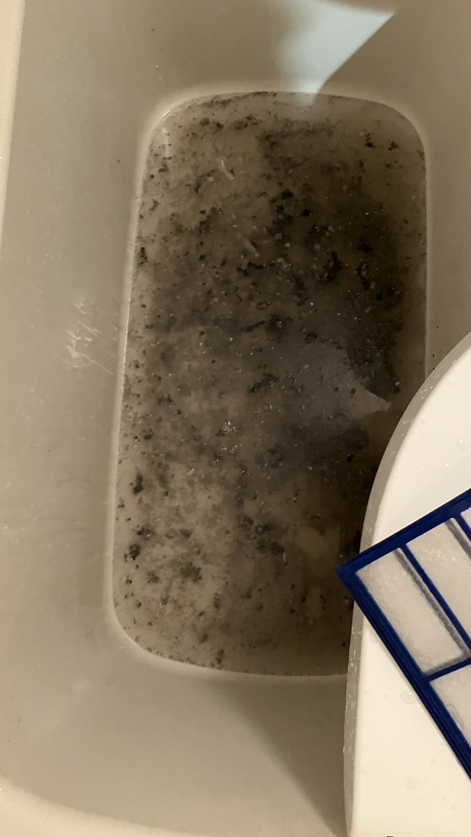 やー的feat.猫 tweet media