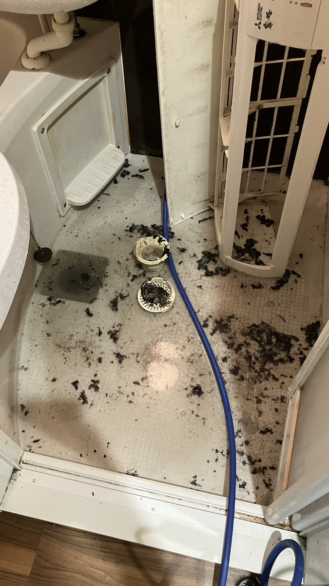 やー的feat.猫 tweet media