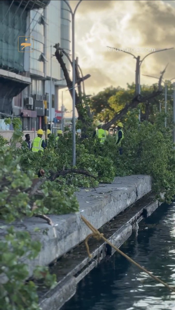 zooxter's tweet photo. Aharakah vureh ahareh hoonu vamun dhaa iru komme sarukaarakun ves  maguthah mathee adhi rahrashuga huri biya bodethi gasthah kandaa than fennamun dhanee. 
Adhives rayyithun tho rakkaatheri kamugè fiyavalhu alhan vee?
@MoTmv @MoCImv @presidencymv https://t.co/IADqb1CtKZ