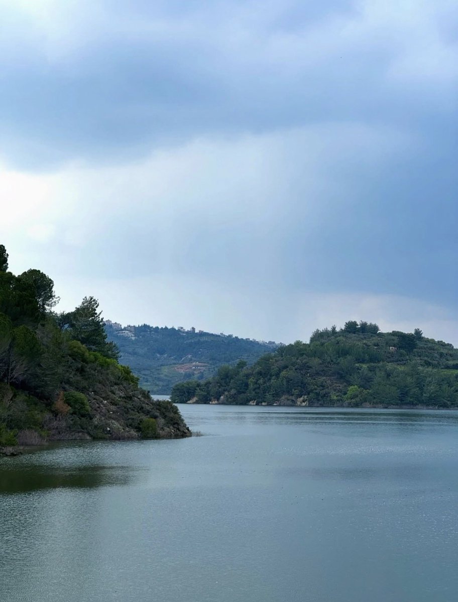 سلطان tweet media