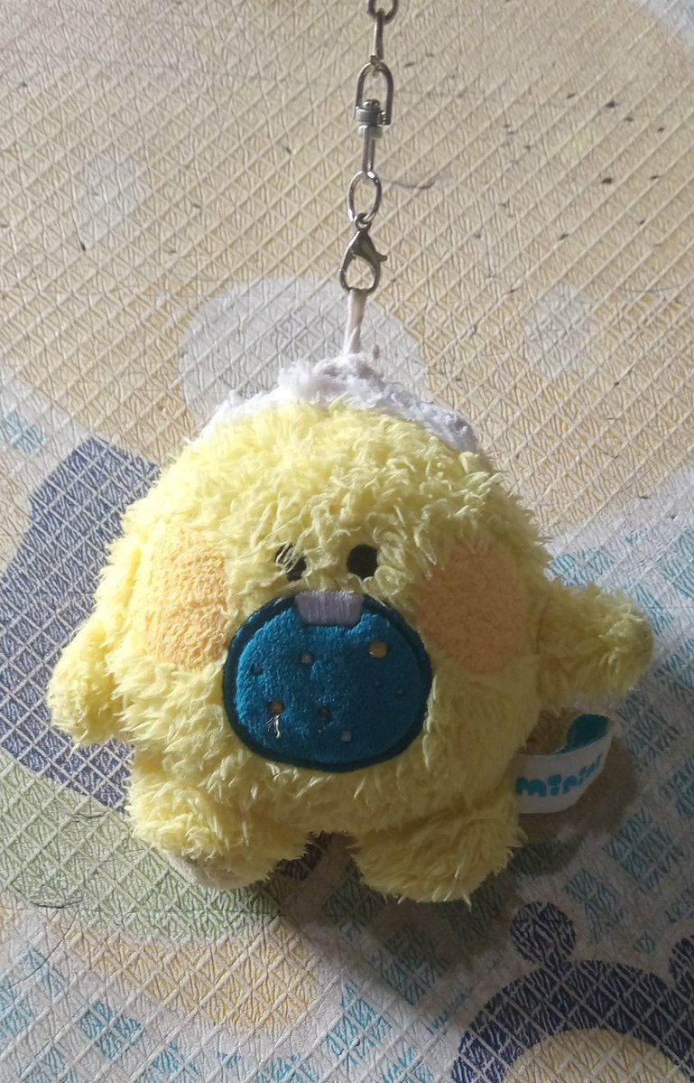 Hilya 🦉 tweet media