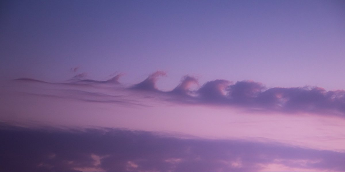 Sufflection.wav tweet media