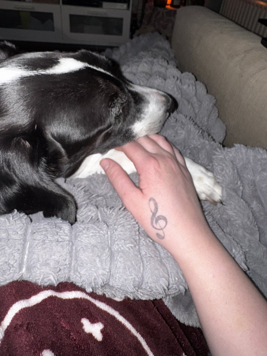 Daan ღ tweet media