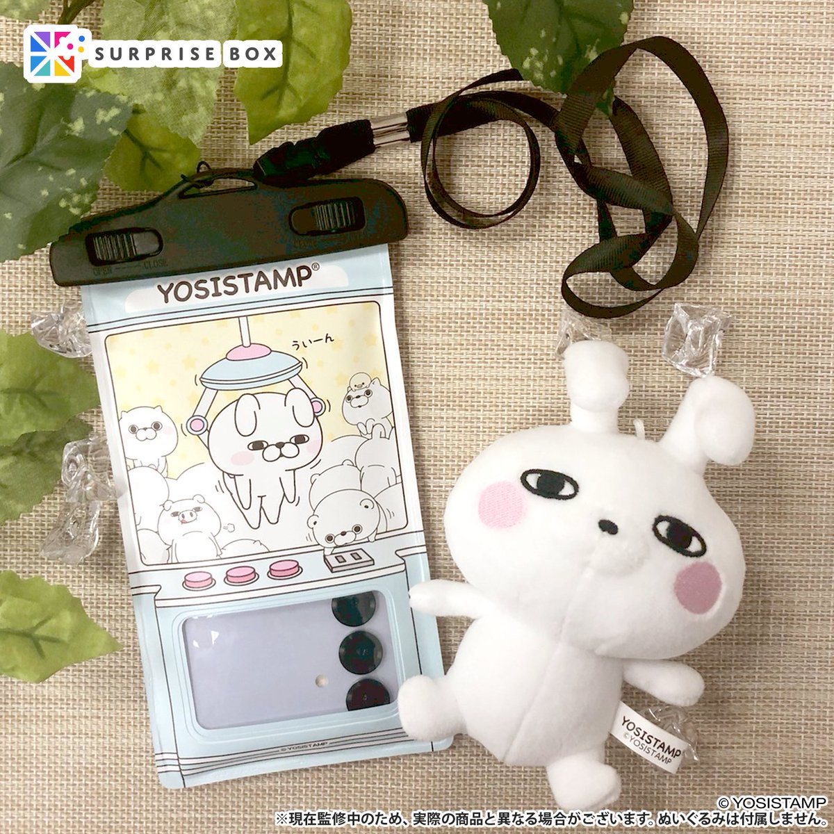 ここだけの」限定アイテムを 定期便でお届けするサプライズボックス