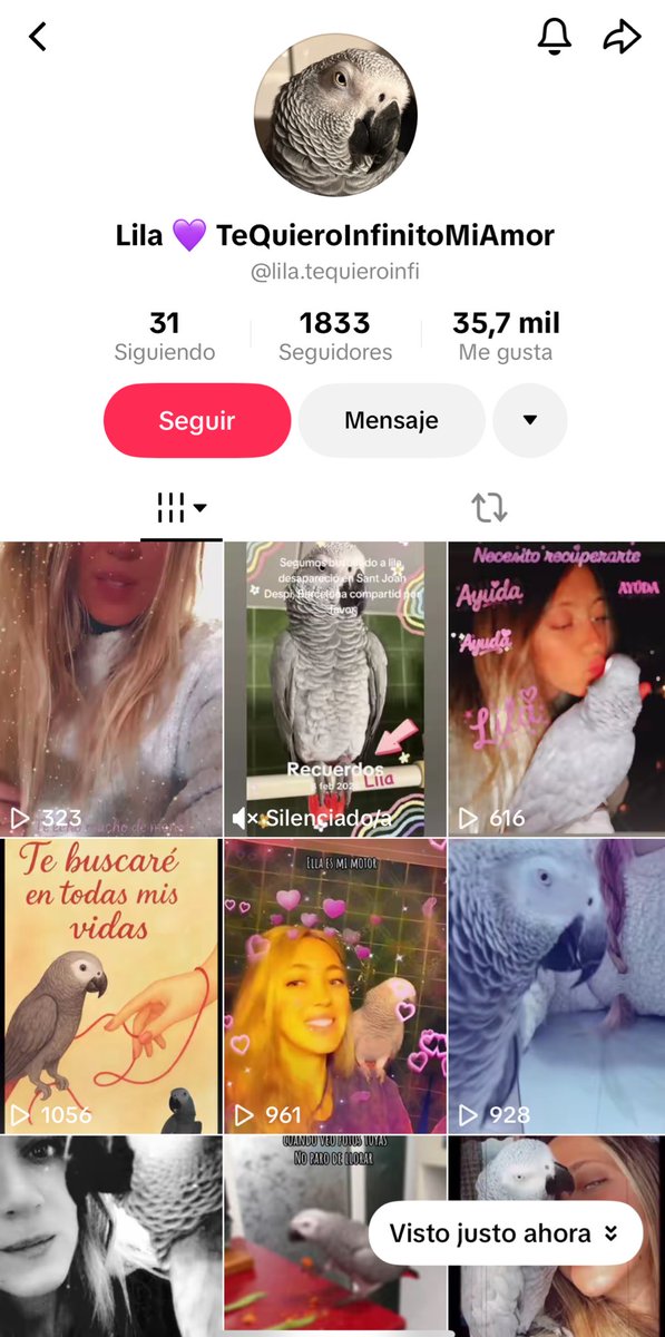 TOTEQUEEN tweet media