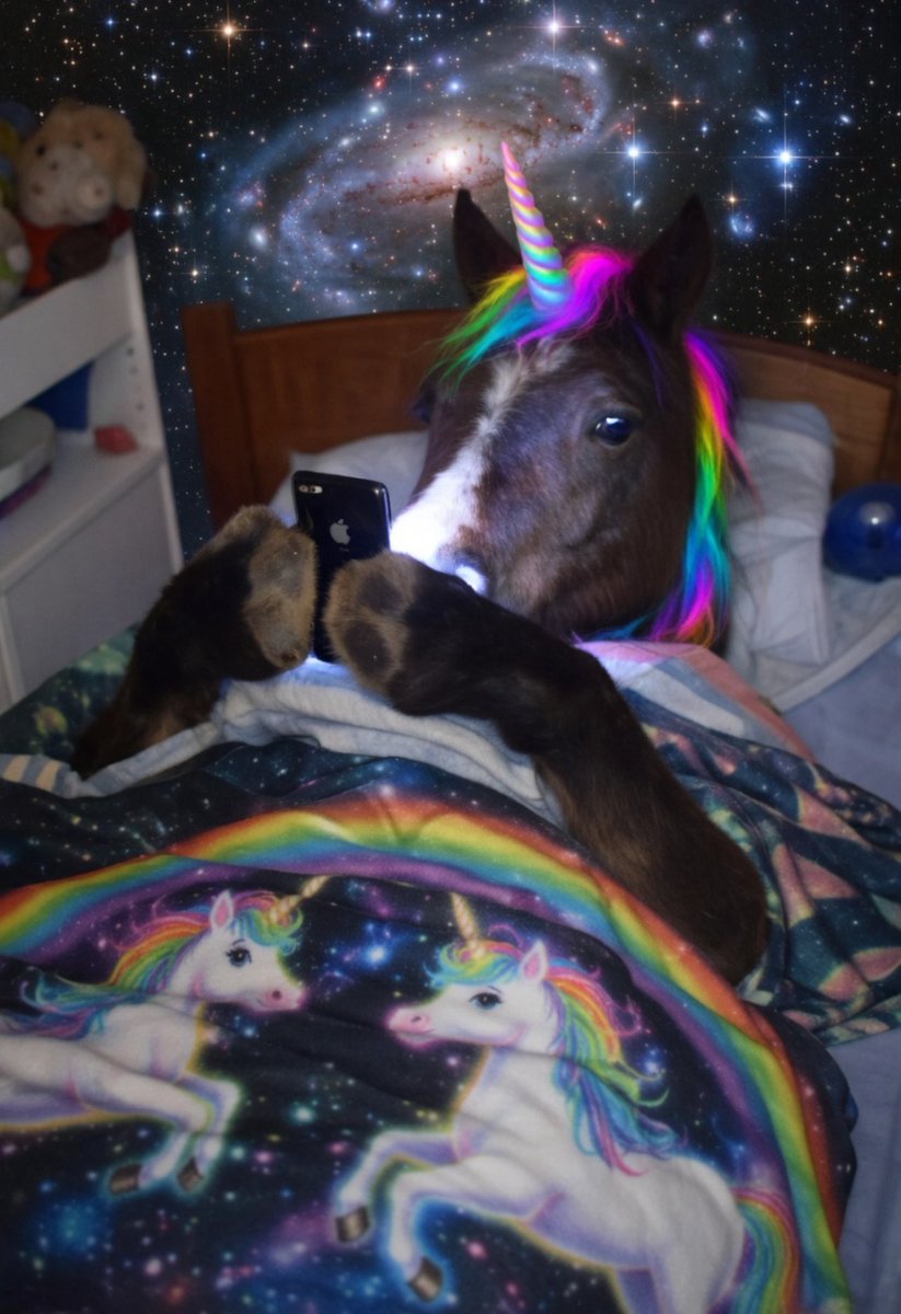 brando 🦄 tweet media