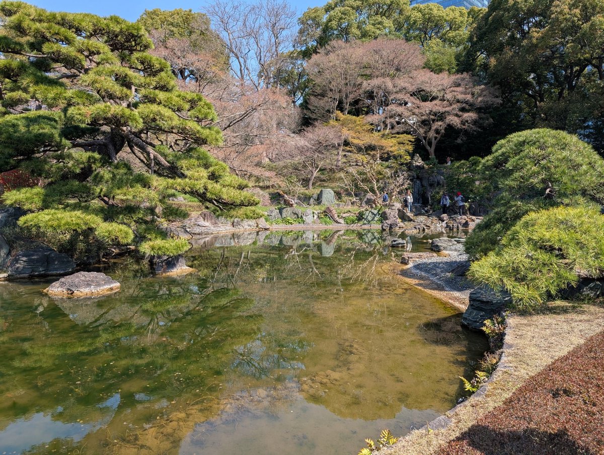 KnightOfAudio's tweet photo. @hyxpk I visited the Imperial Palace the other day and got very excited when I saw ducks! The gardens were also very beautiful 😊 https://t.co/cgZsrmw3Kf
