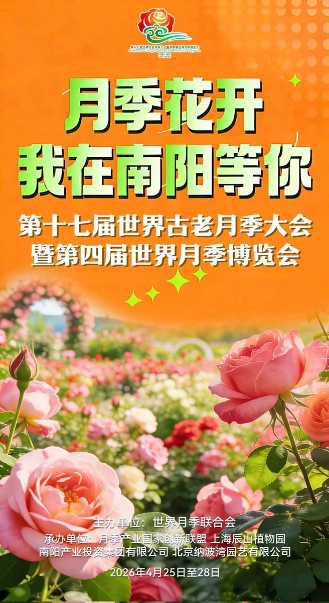 bob 尧彤（互fo） tweet media