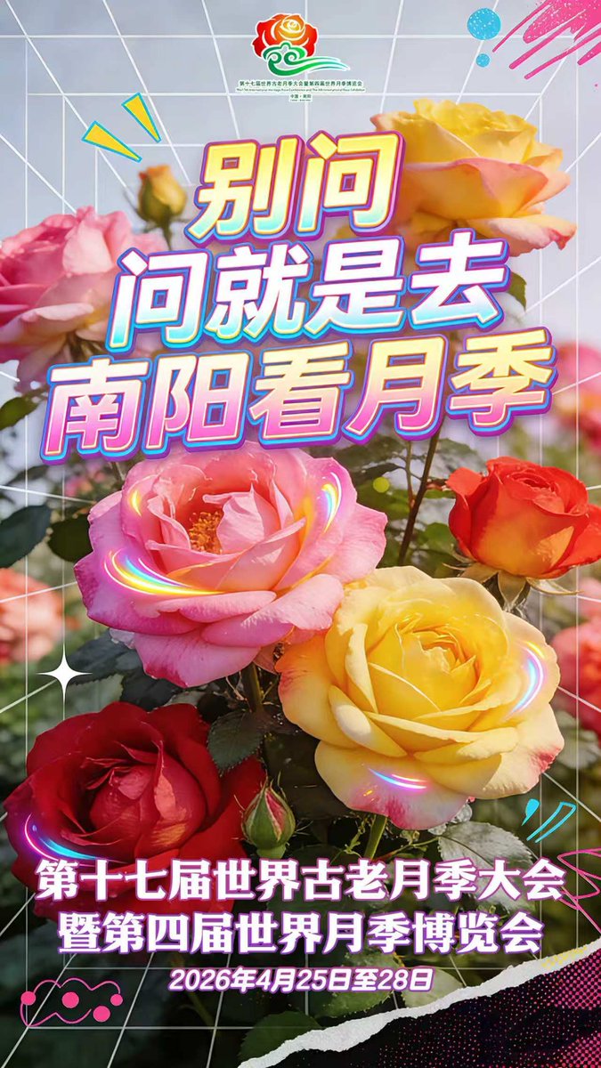 bob 尧彤（互fo） tweet media