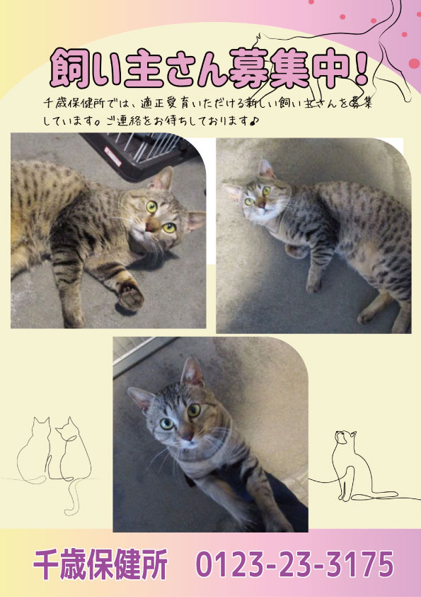 認定NPO法人HOKKAIDOしっぽの会 tweet media