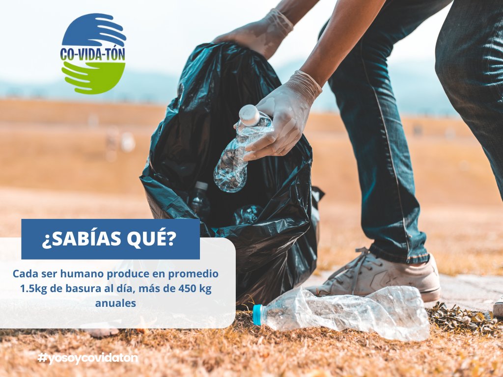 CO-VIDA-TON tweet media