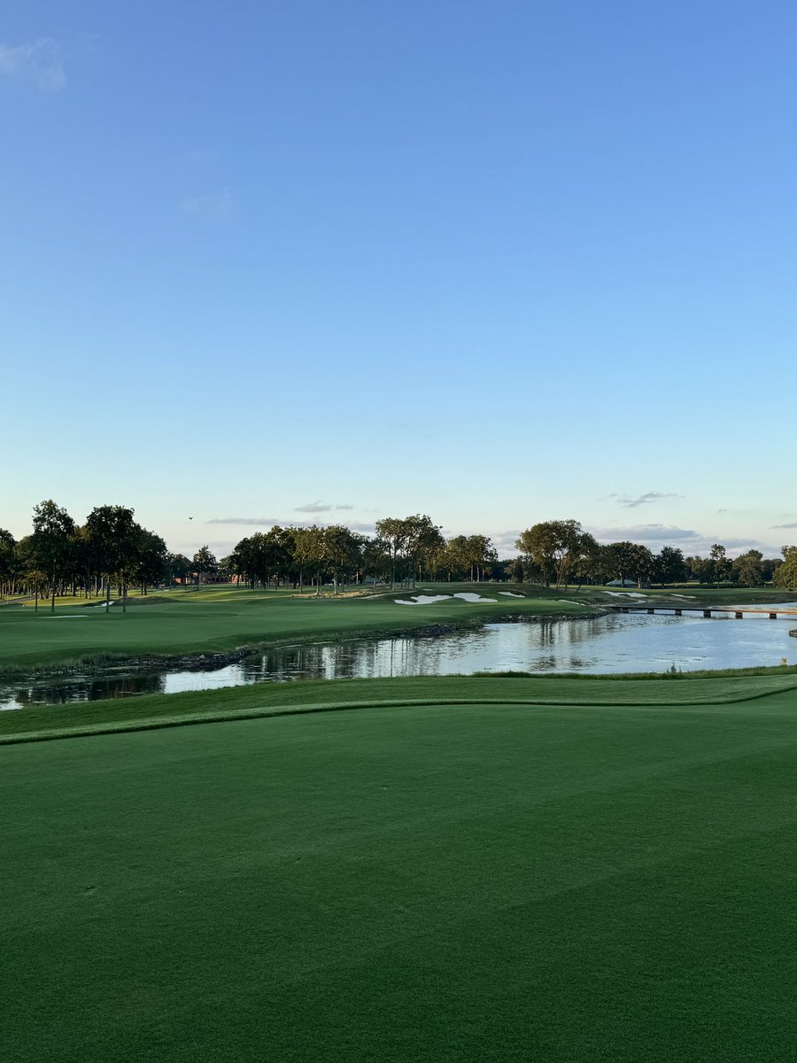 Dr. King Schultz 🦷 tweet media