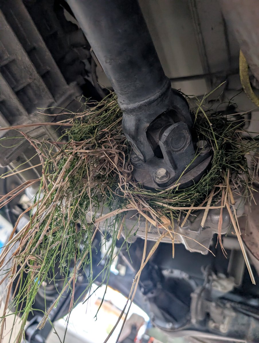 年中ツナギ tweet media