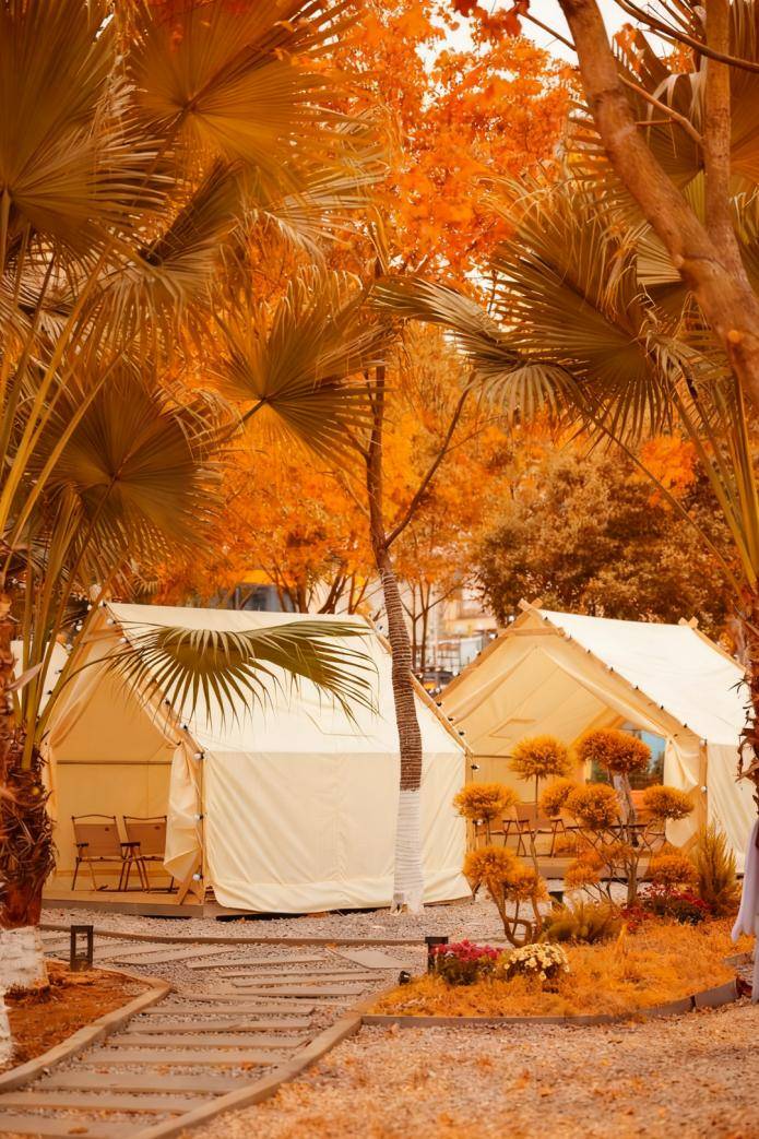 Bach Phong Linh tweet media