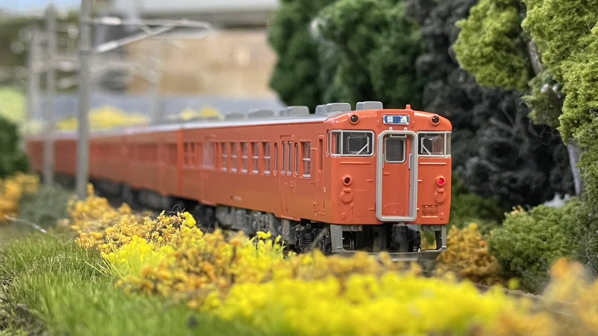 レンタルレイアウトRe-Color tweet media