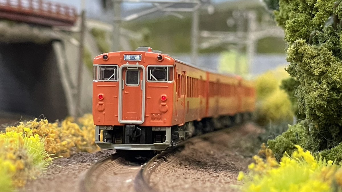 レンタルレイアウトRe-Color tweet media