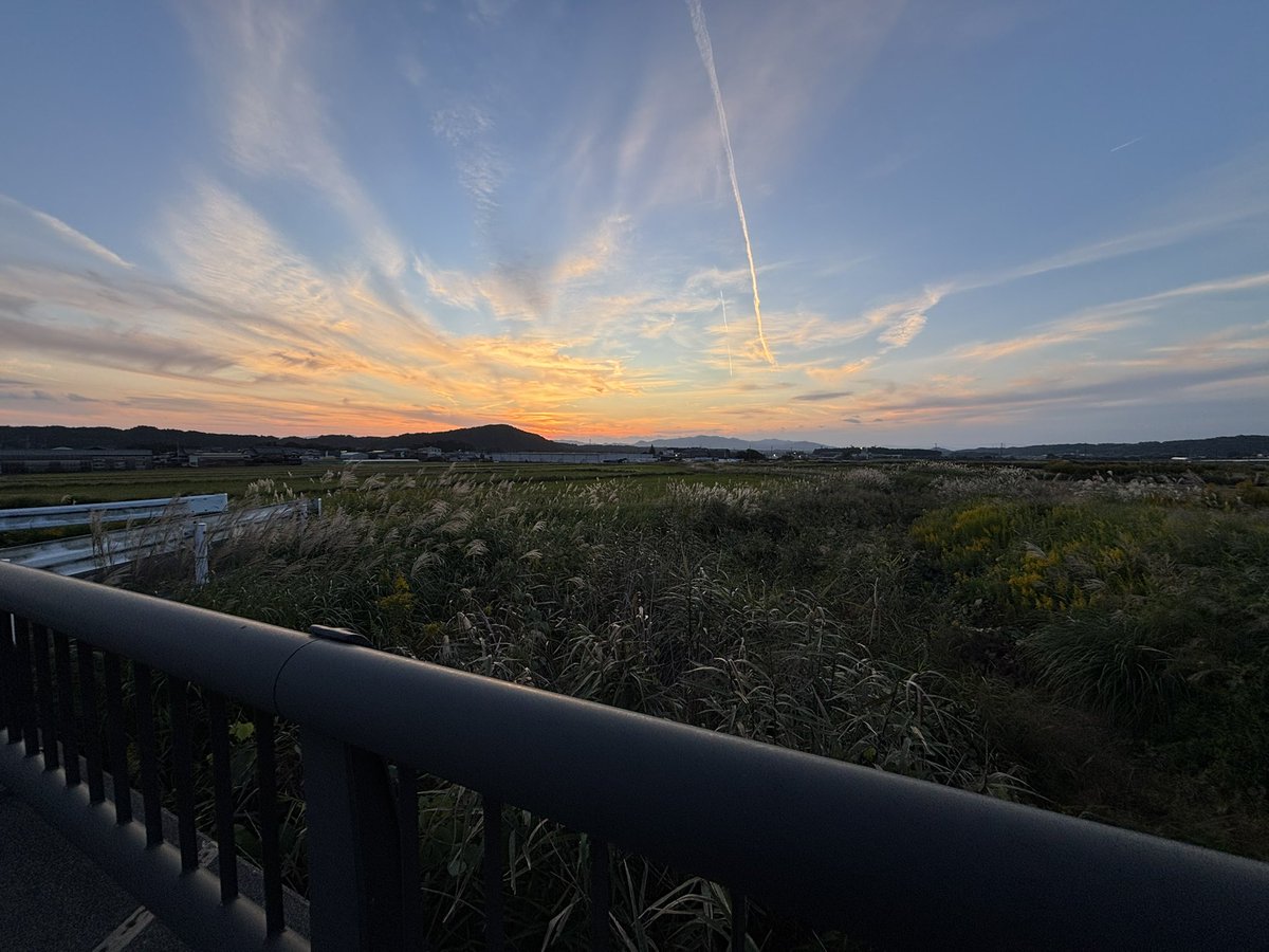 春雨らぶと tweet media