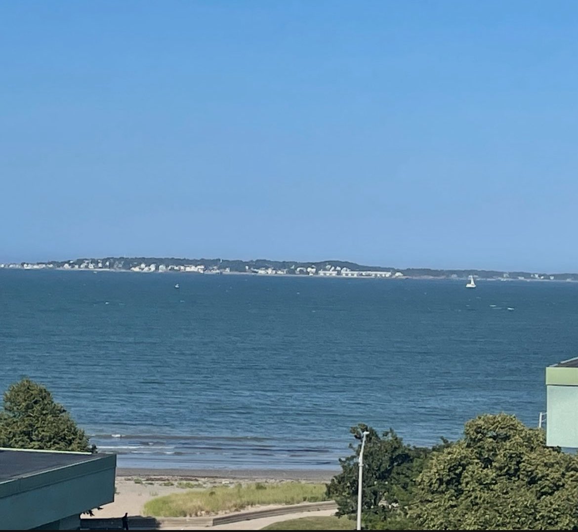 Lark Logan tweet media