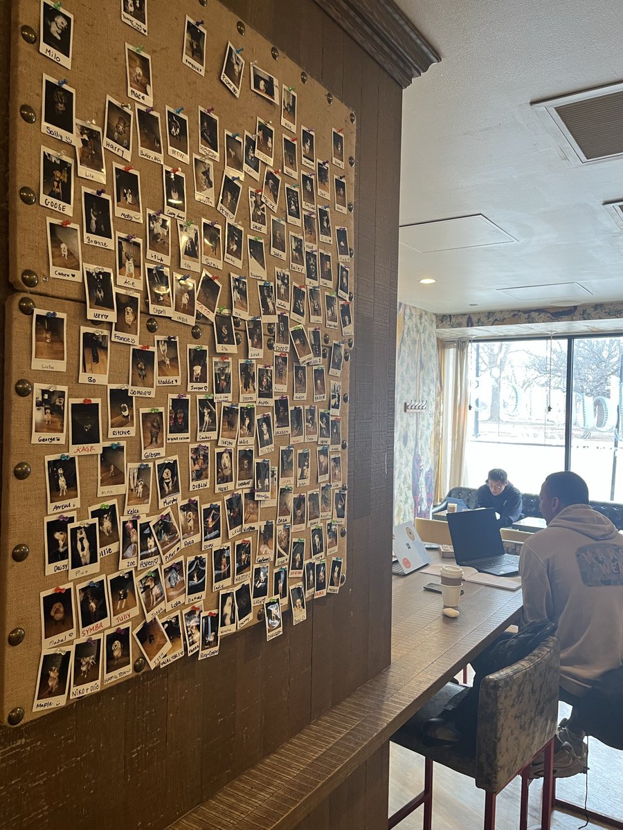 ザ・ギース尾関 tweet media