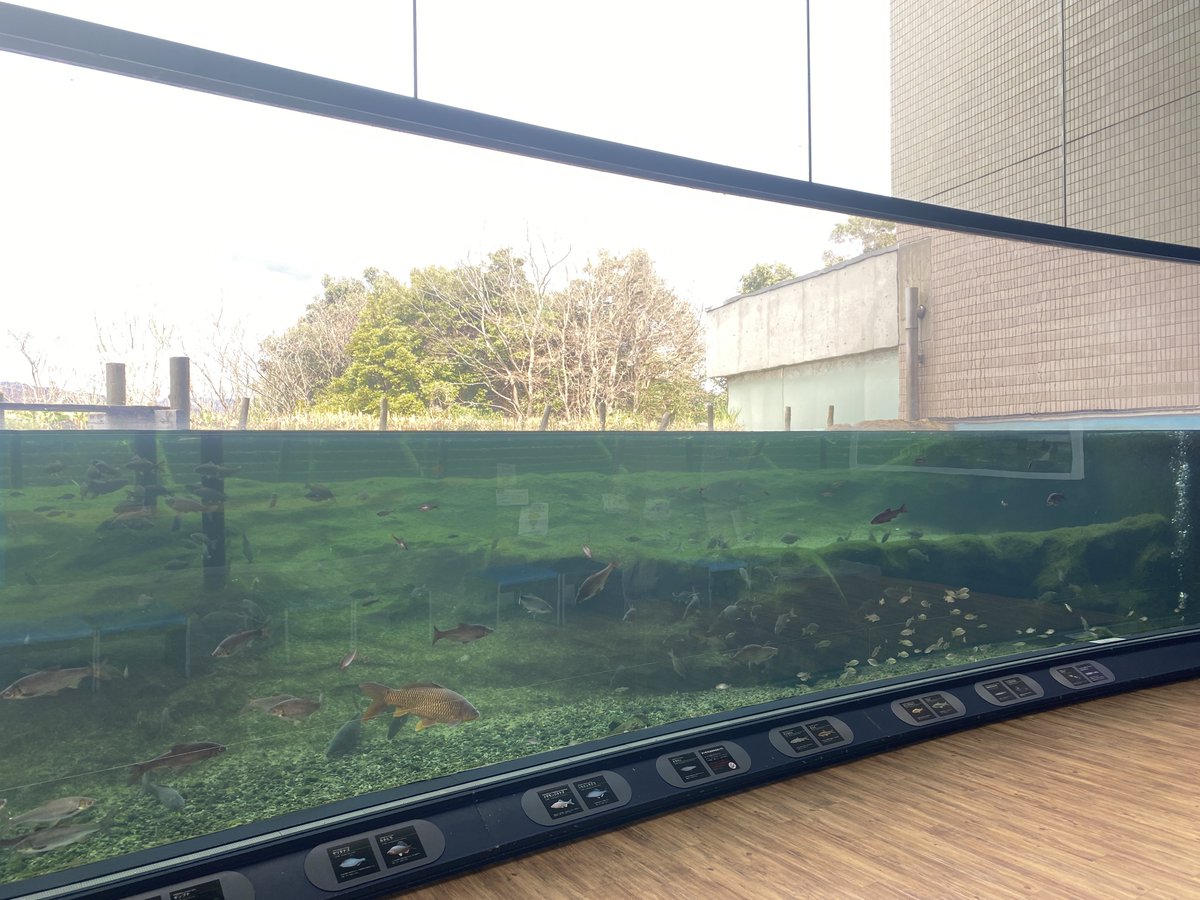 ウォーター tweet media